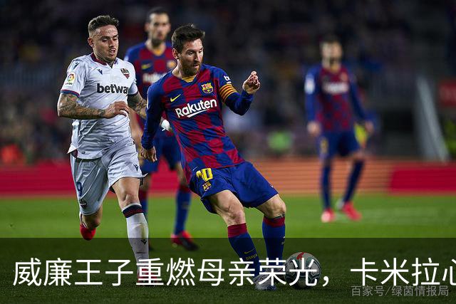 威廉王子重燃母亲荣光，卡米拉心慌意乱？
