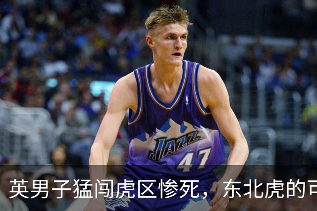 英男子猛闯虎区惨死，东北虎的可怕实力何在？